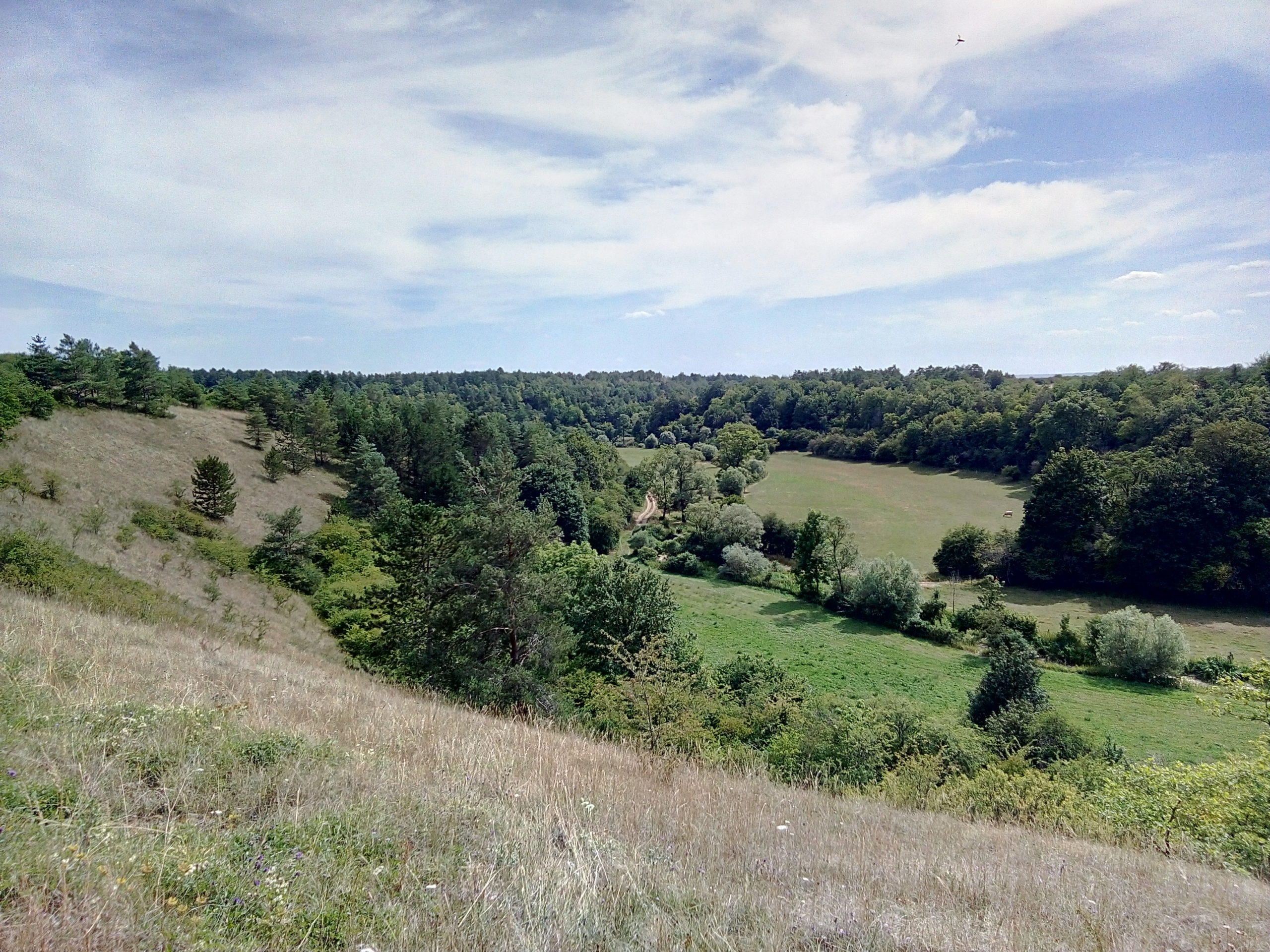 Entretenir et valoriser les richesses naturelles du territoire -